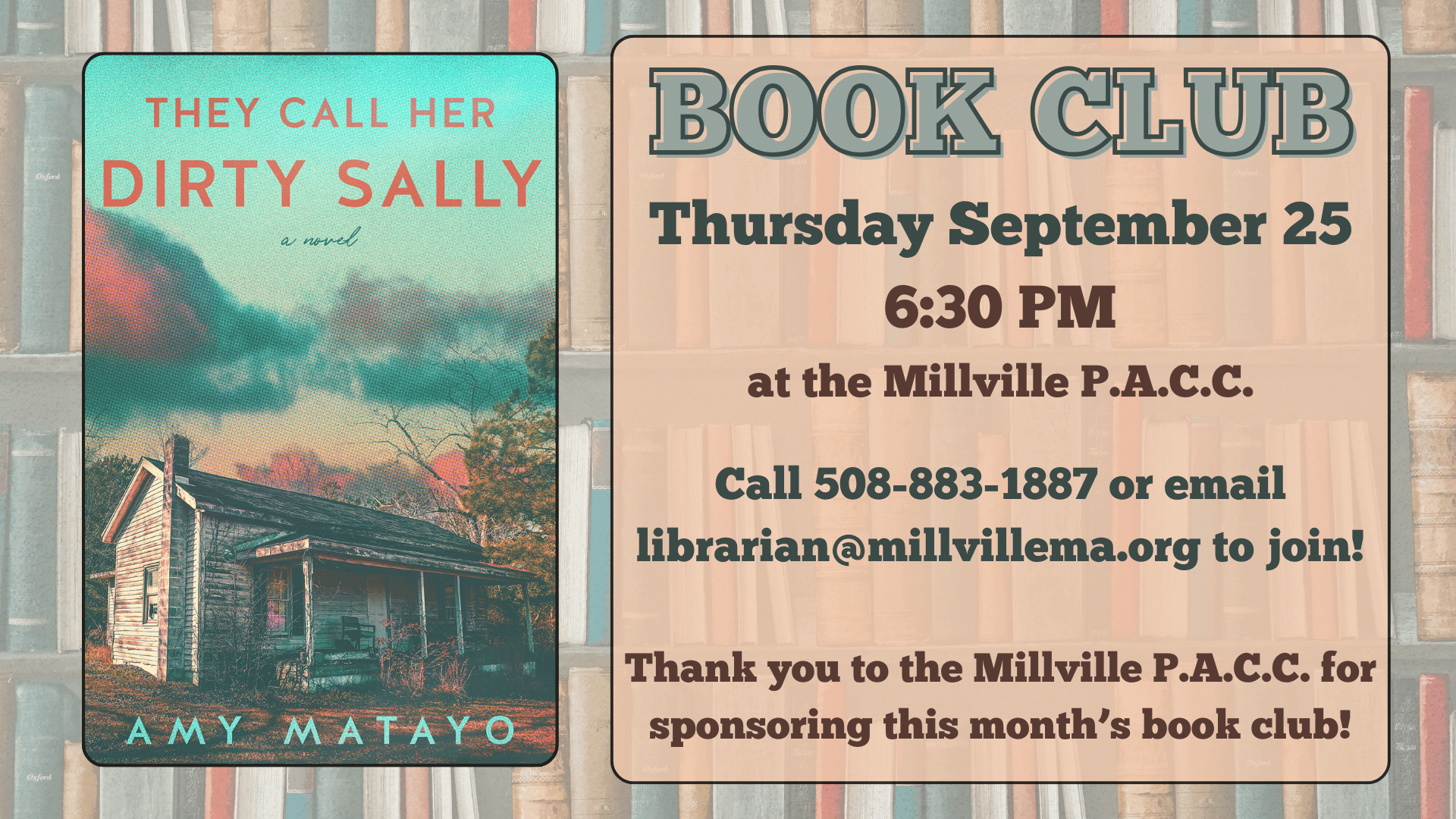An image of the novel They Call Her Dirty Sally by Amy Matayo.